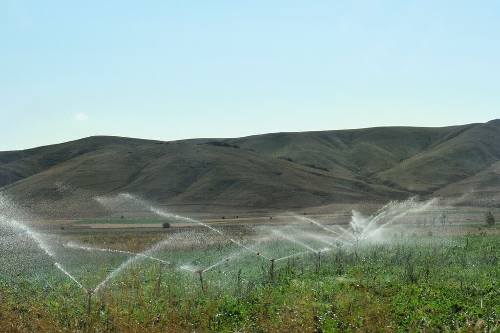 "Aquí se roba agua": la extracción ilegal de agua pone en riesgo seis acuíferos de gran riqueza ambiental en España